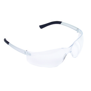 EL10S DANE™, Clear Frame and Lens Safety Glass